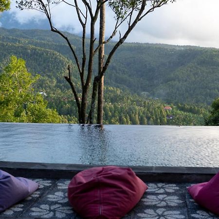 Puri Sunny Guesthouse Munduk Zewnętrze zdjęcie