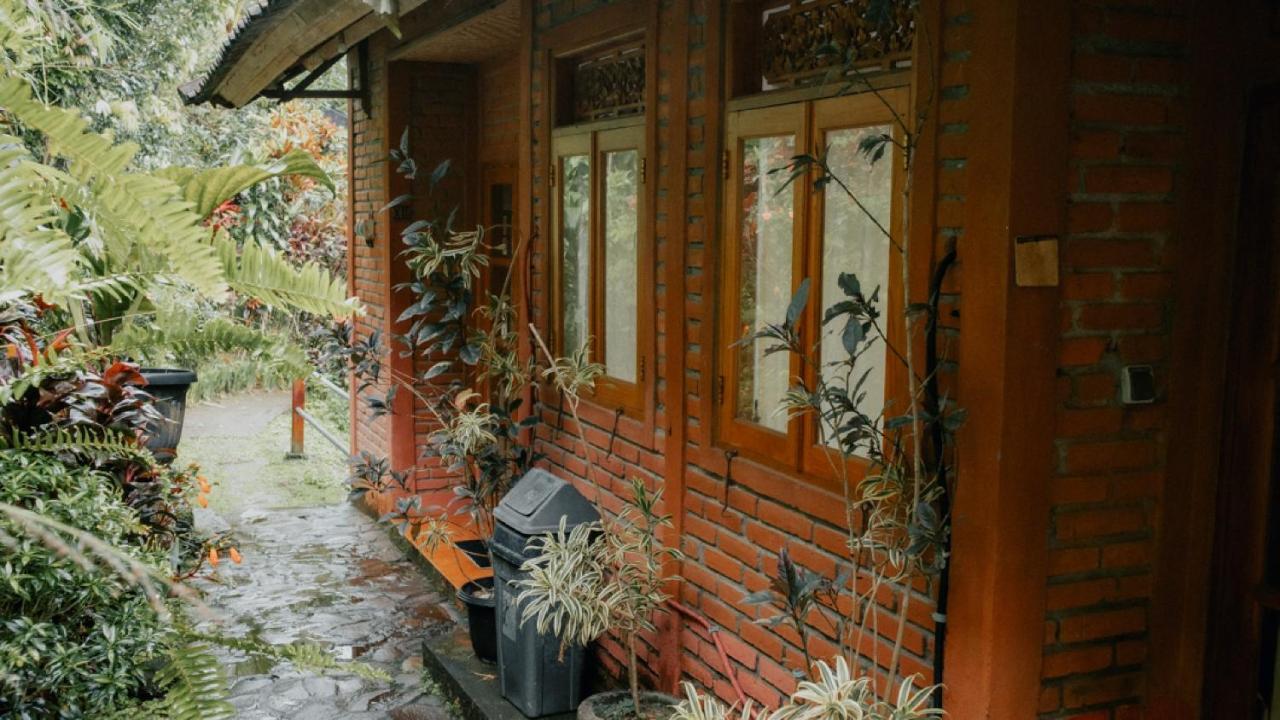 Puri Sunny Guesthouse Munduk Zewnętrze zdjęcie